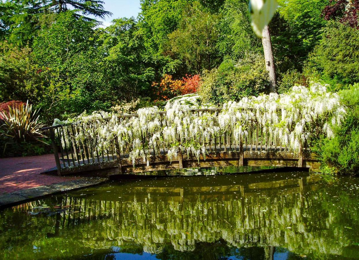 Pinetum Gardens Retreats St Austell Exterior foto